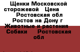 Щенки Московской сторожевой › Цена ­ 7 000 - Ростовская обл., Ростов-на-Дону г. Животные и растения » Собаки   . Ростовская обл.